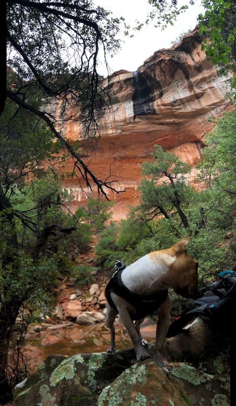 Fay Canyon Trail, Sedona