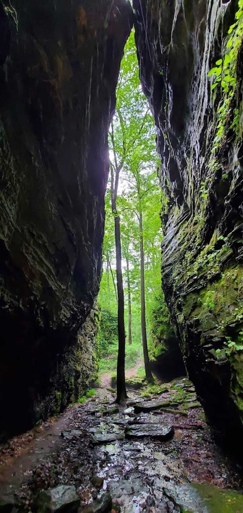 Panther Den Wilderness, Pope County