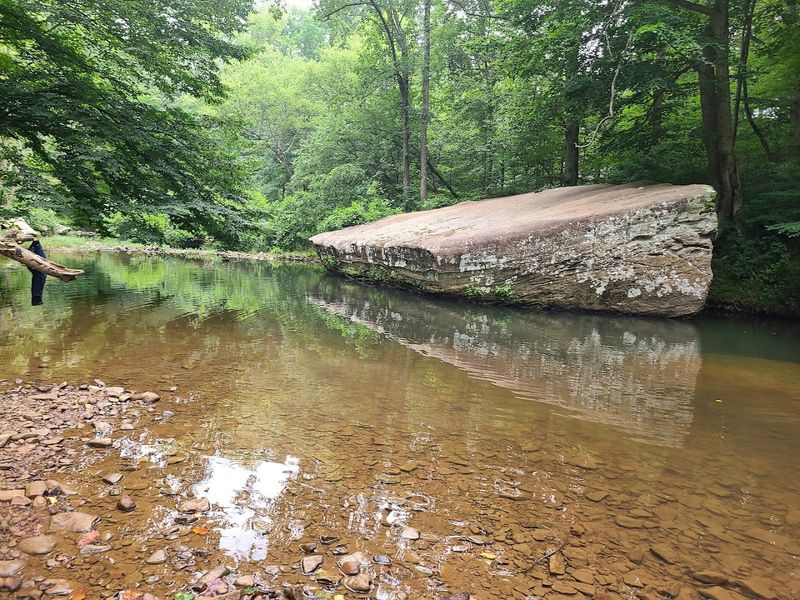 Bell Smith Springs Scenic Area, Ozark