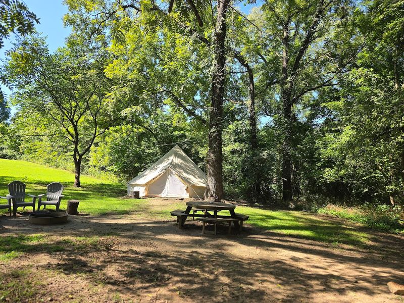 Bell Tents Framed By Shade And River Air