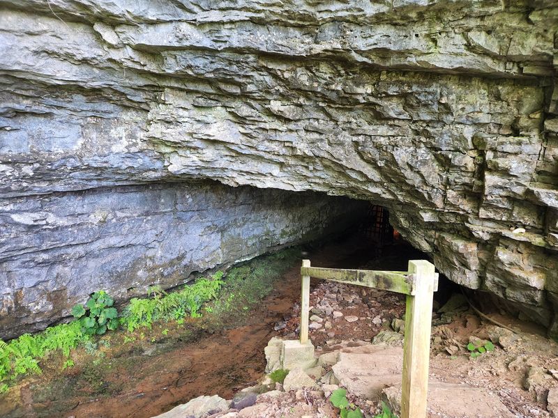 Bell Witch Cave