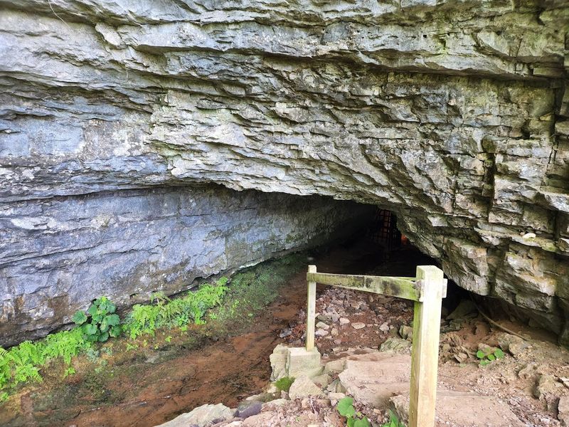 Bell Witch Cave