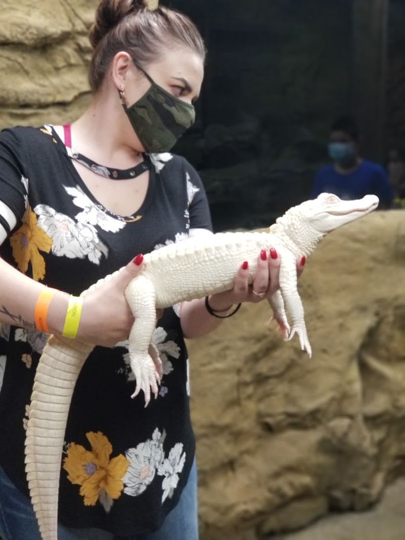 LegaSea Aquarium & The Reptarium, Utica