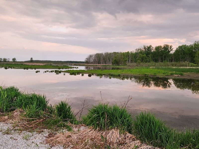 Shiawassee River State Game Area