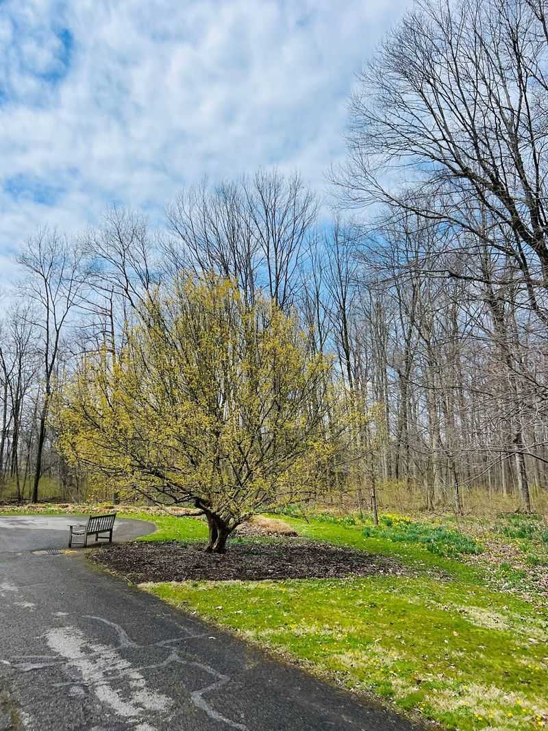 Bellville, Richland County
