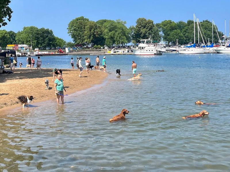 Belmont Harbor Dog Friendly Area, Chicago Belmont Harbor Dog Friendly Area, Chicago