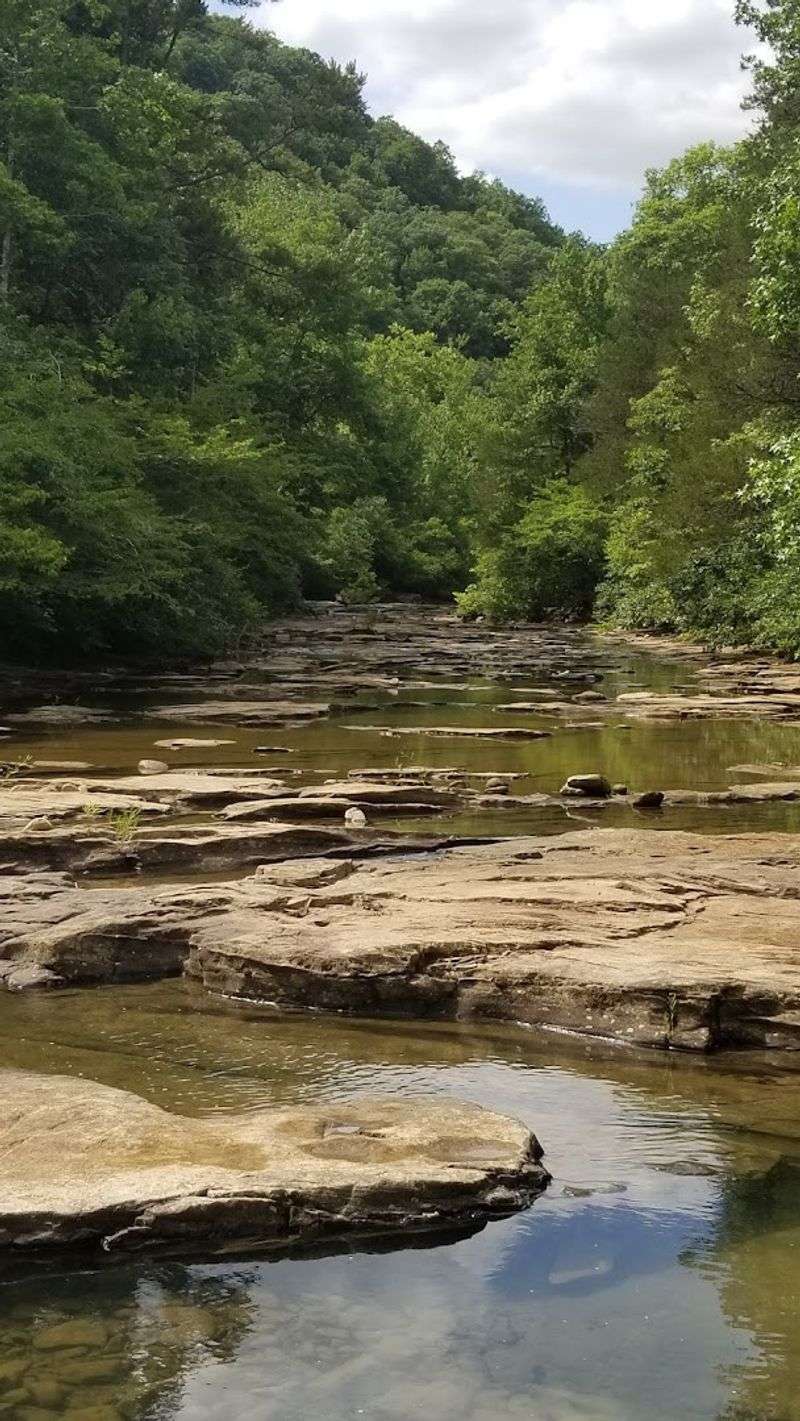 Beneath The Shade Of The Bluff