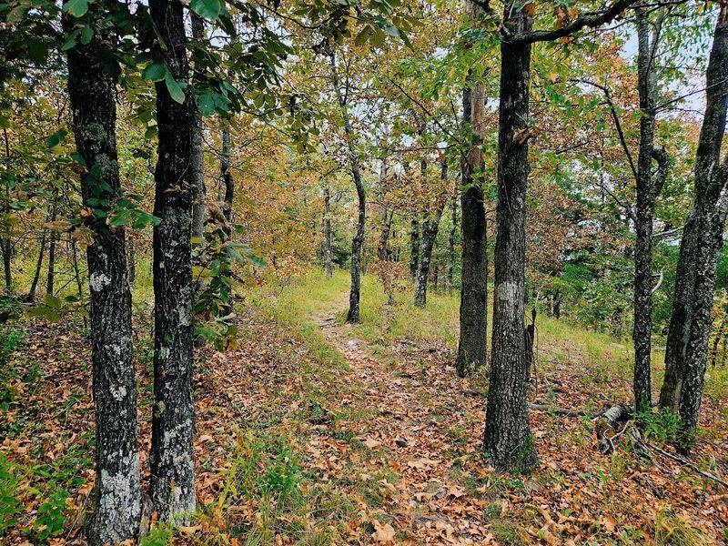 Benefield Loop Trailhead