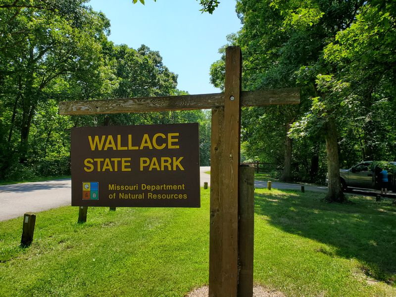 Wallace State Park, Near Cameron