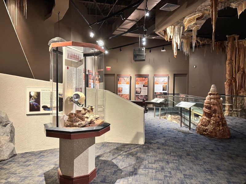 Practical Tips For Planning Your 2026 Visit