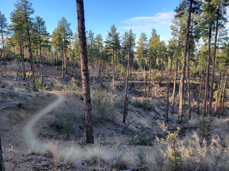 Berms, Rollers, and That Roller-Coaster Feeling Berms, Rollers, and That Roller-Coaster Feeling