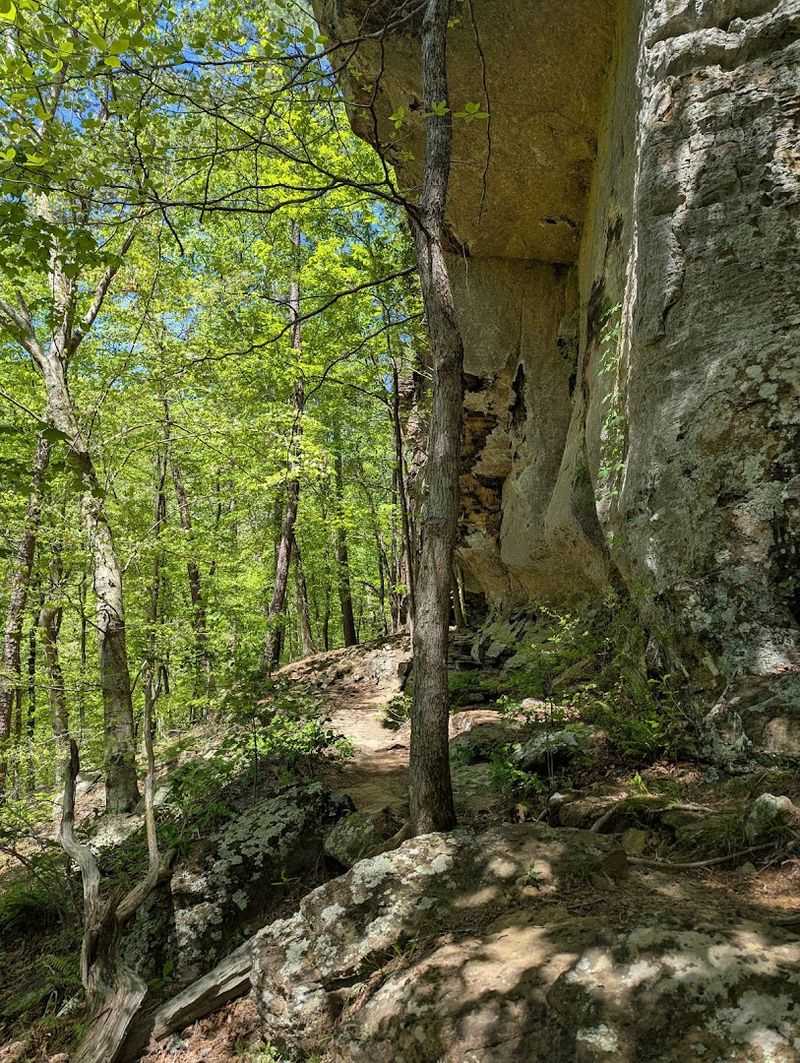 Tips For A Safe And Rewarding Visit