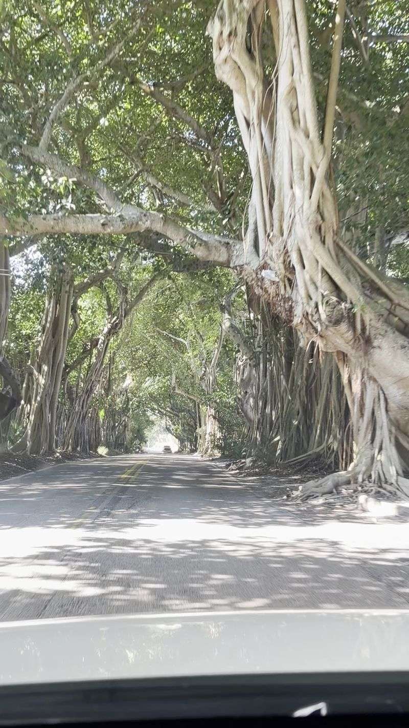 Best Experienced As A Quick Drive-Through