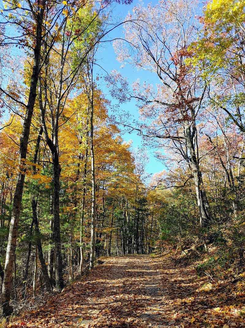 Best Seasons To Visit The Channels Best Seasons To Visit The Channels
