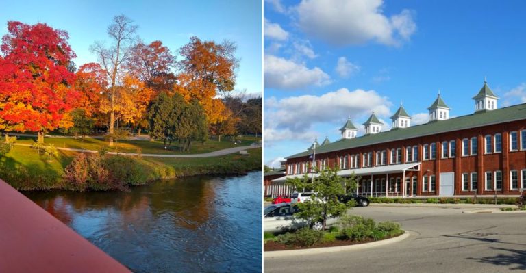 The beauty of Mt. Pleasant