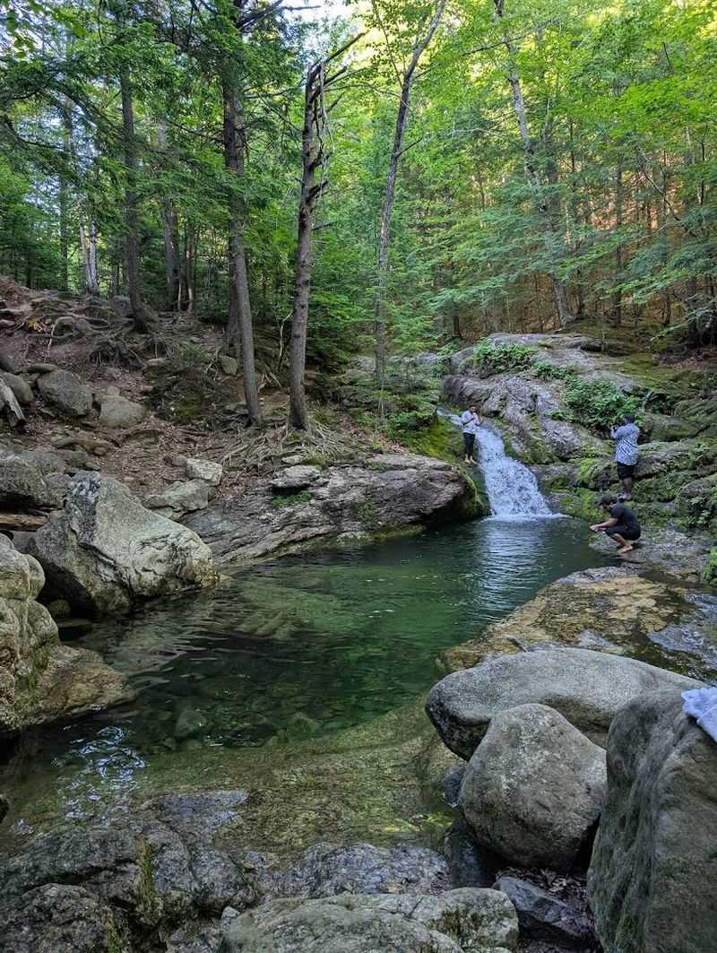 Water Quality And Drinkability