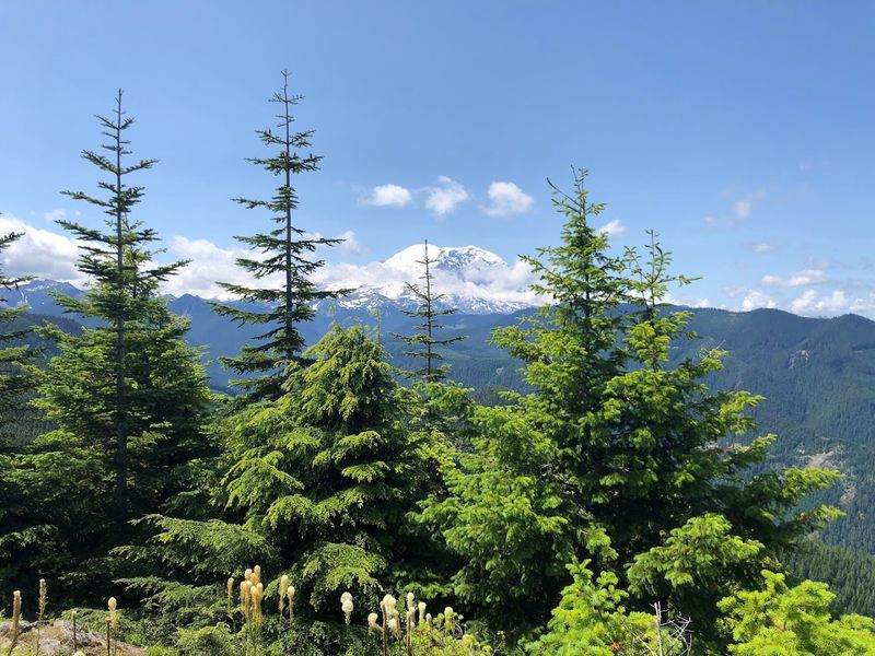 Best Time Of Year To Visit