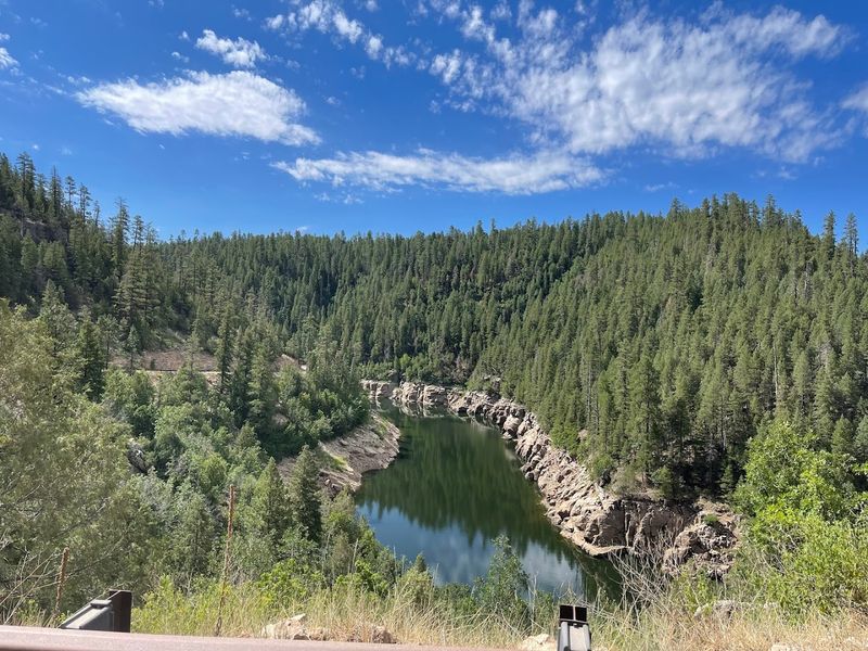 Wildlife You Might Spot Along The Shore