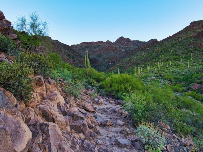 Practical Tips For A Great Hike