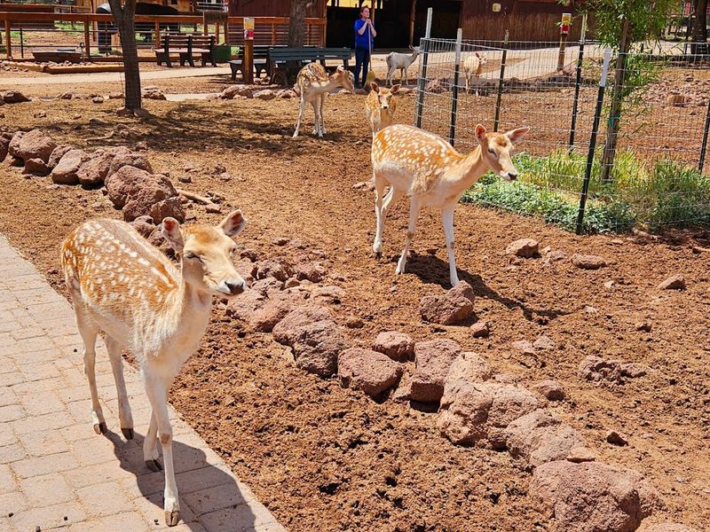 Visiting With Kids And Families