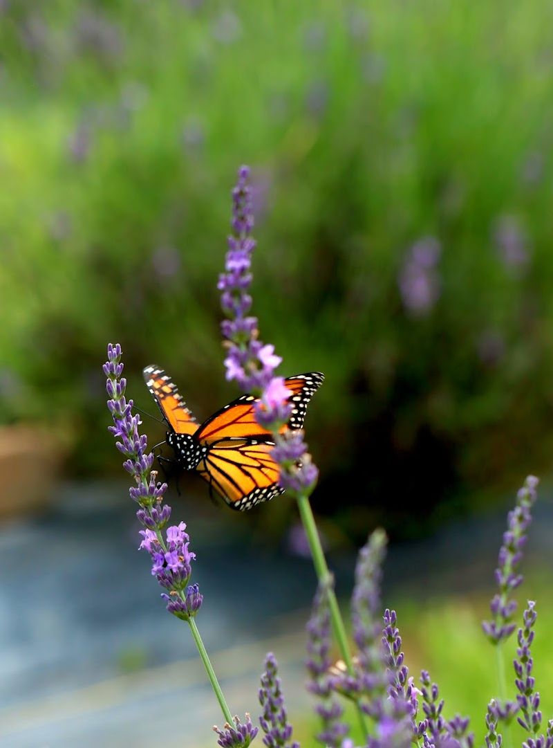 Photo Opportunities Around Every Corner