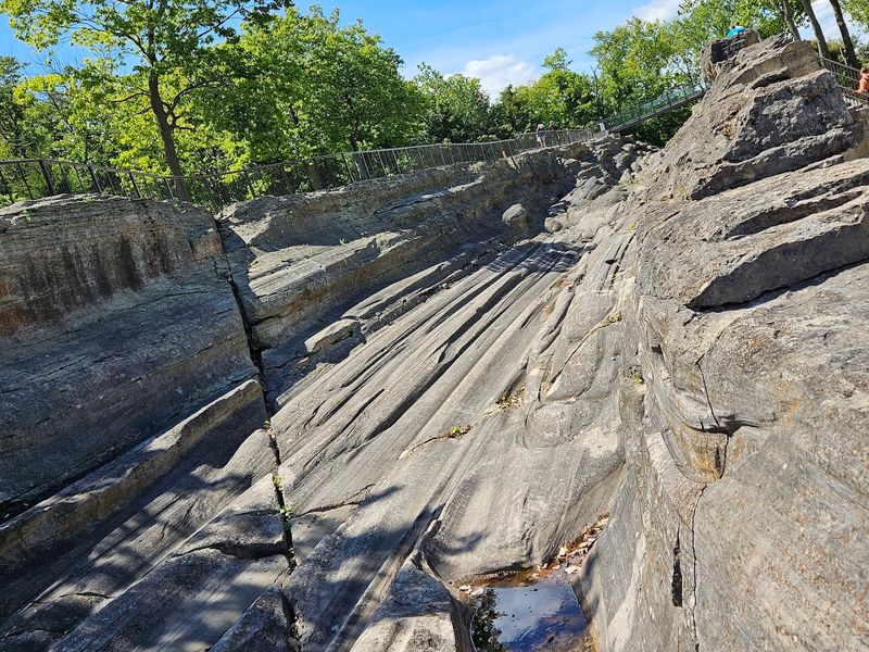 Why This Site Matters to Science