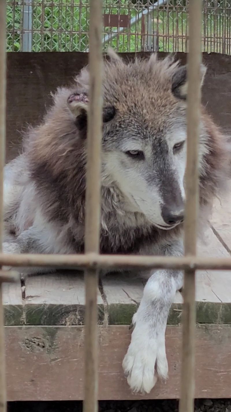 Why This Place Stays With You