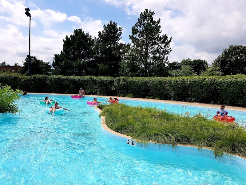 Best Times To Dive In