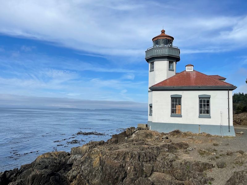 Best Times To Plan Your Visit For Whale Sightings Best Times To Plan Your Visit For Whale Sightings
