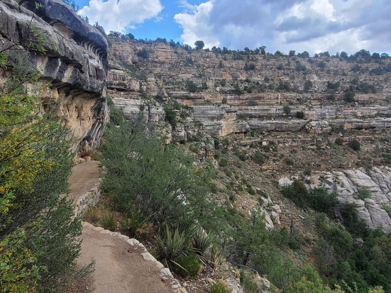 What To Bring And Know Before You Go