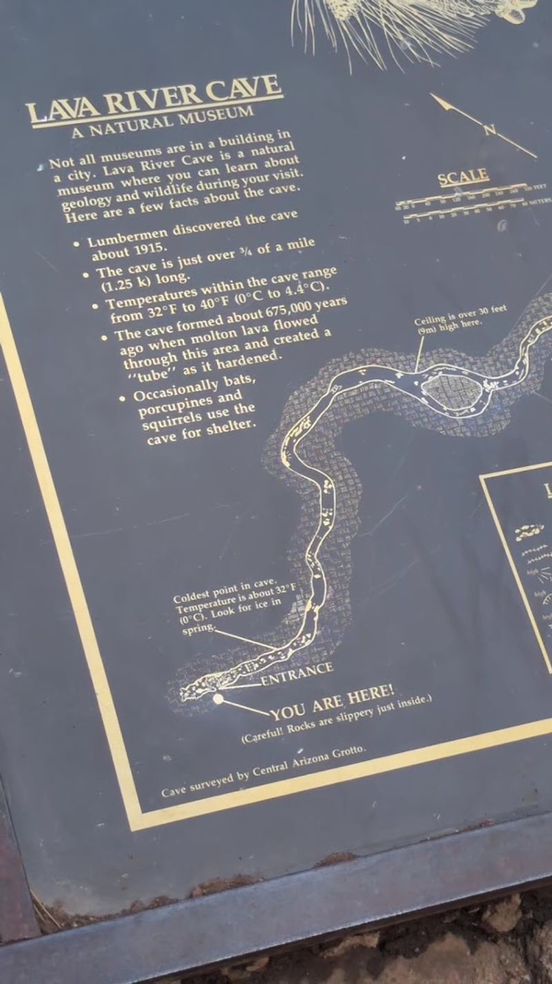 Rules, Restrictions, And Visitor Etiquette