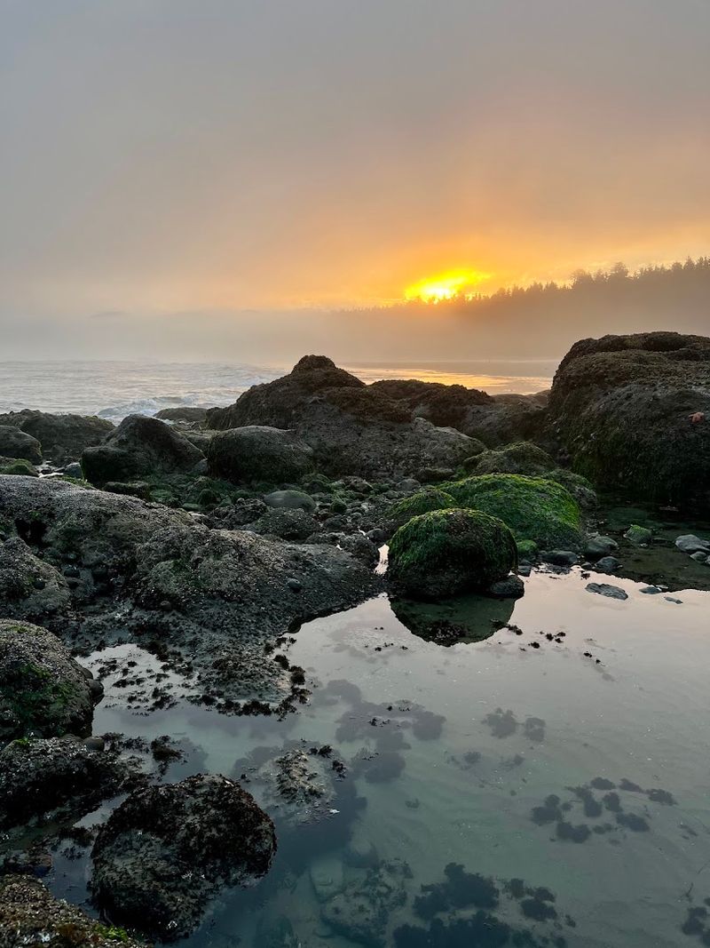 Best Times To Visit And What Each Season Offers