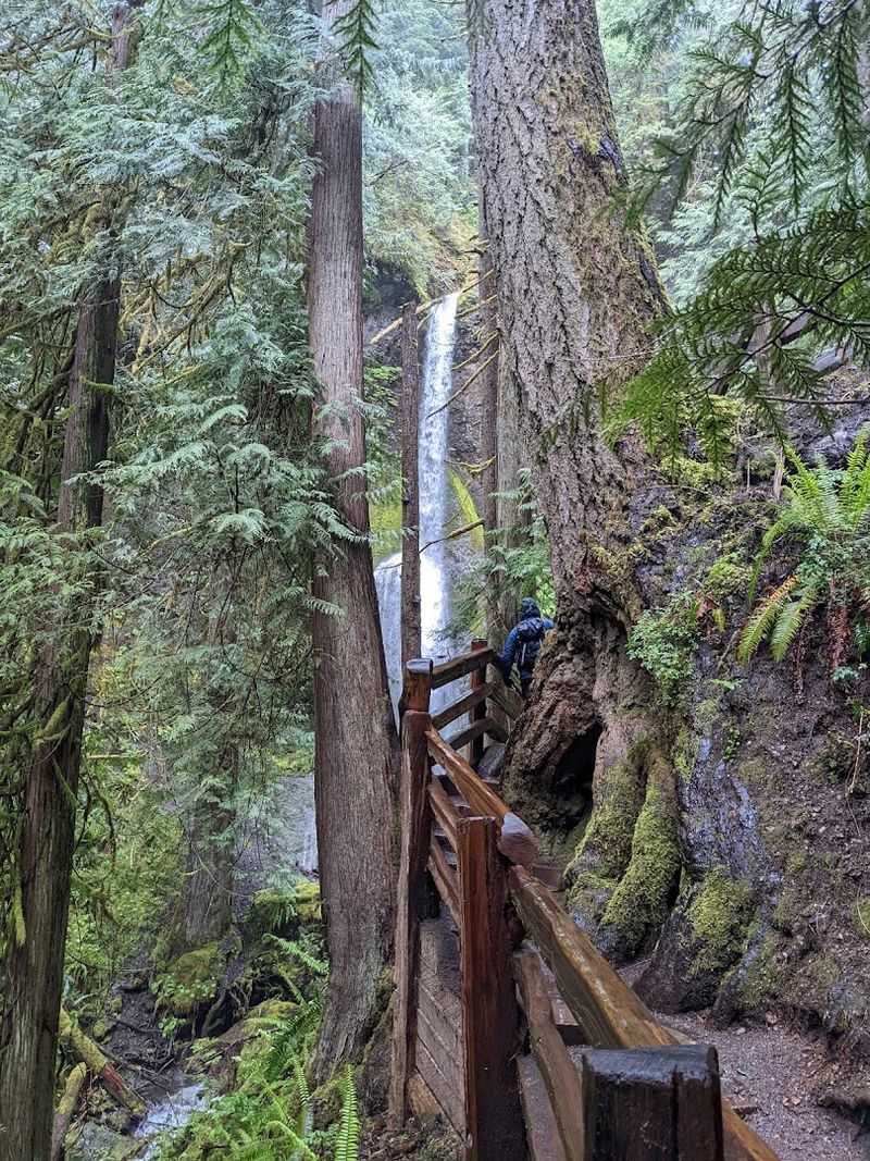 Best Times To Visit And What To Expect Each Season