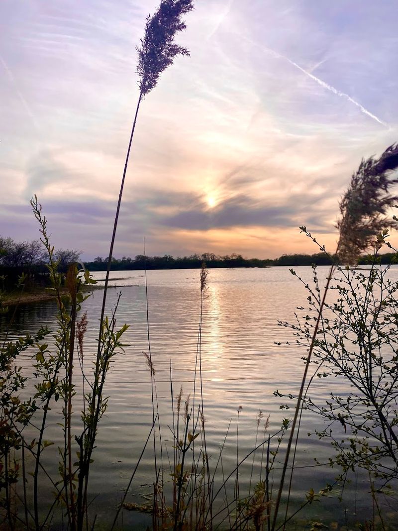 What To Bring And How To Prepare