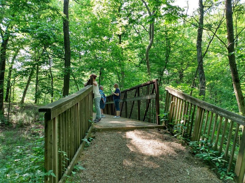 Practical Tips Before You Go