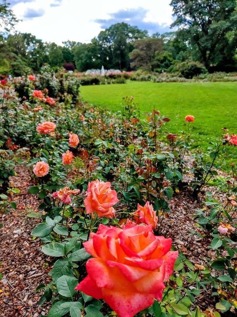 A Place Worth Coming Back To