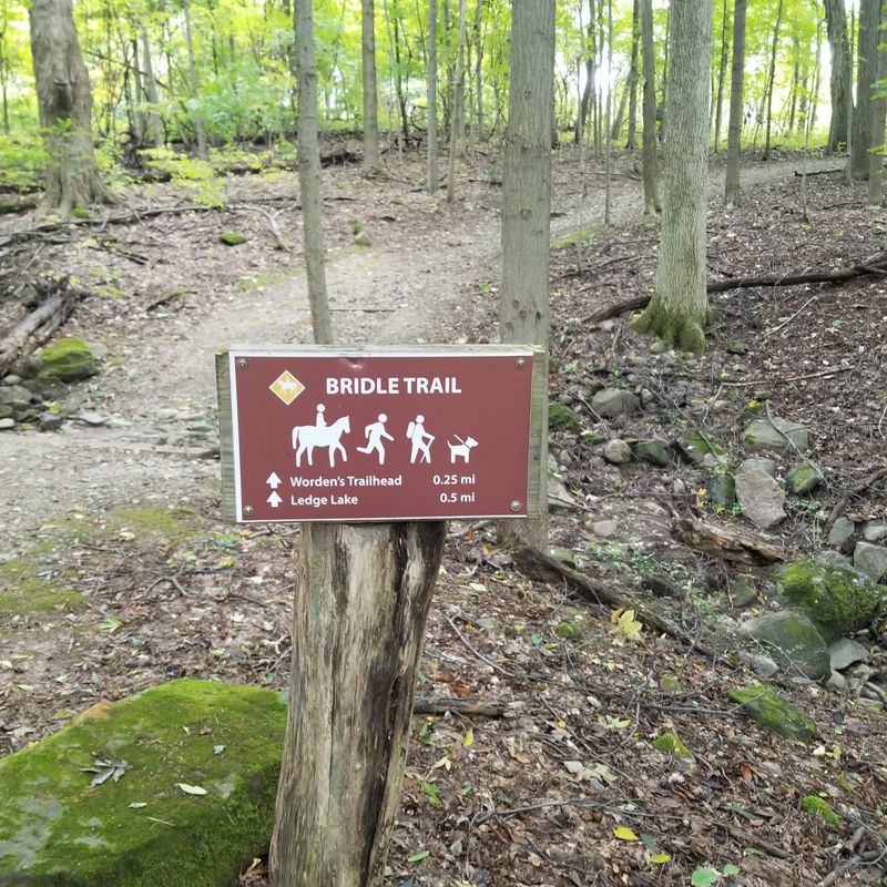 Practical Information for Your Visit