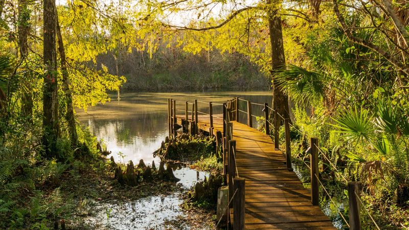 The Boardwalk Trail for Quick Nature Immersion