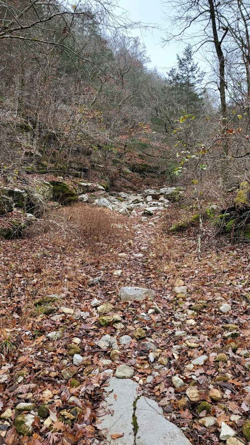 Footing Challenges Stream Crossings And Safety Awareness