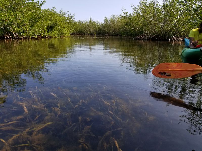 Routes, Launch Points & Park Info You’ll Want To Know