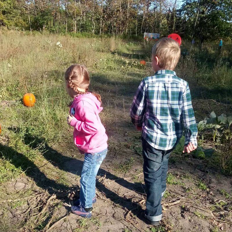 Bethke Farms Keeps Pumpkin Picking Simple