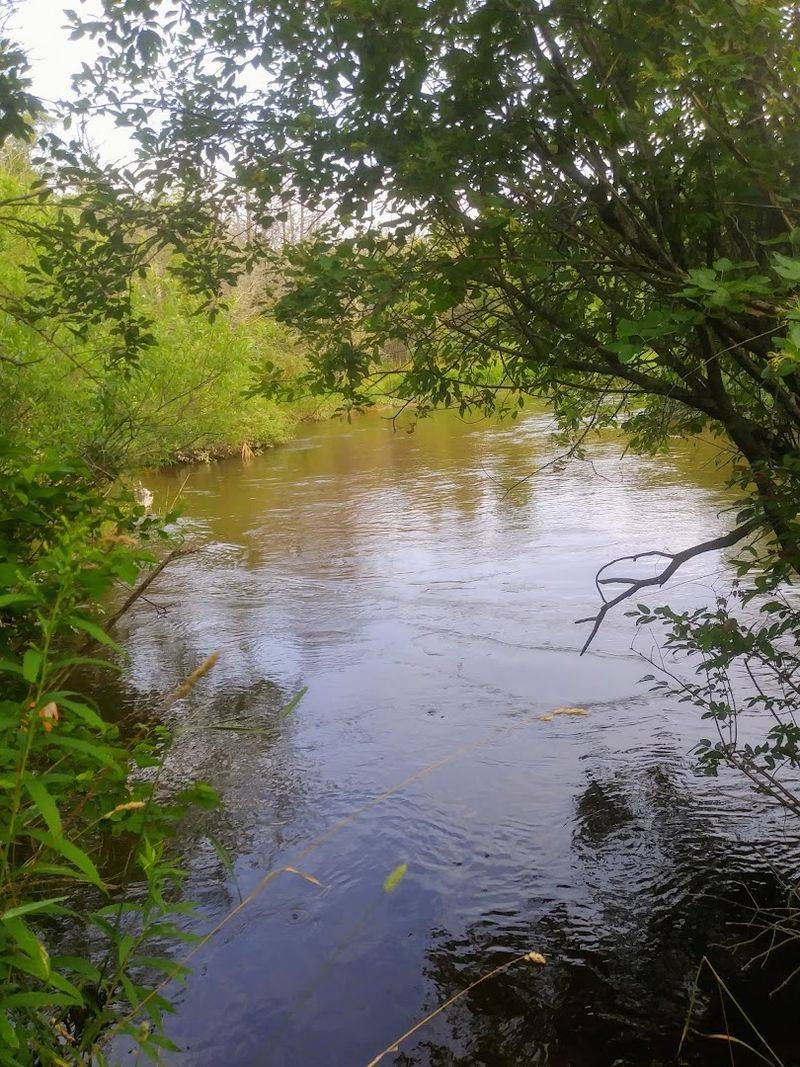 Betsie River Betsie River