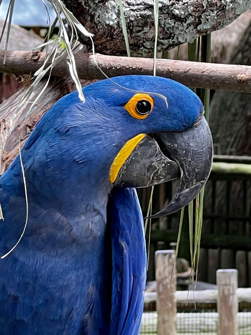 A Bird Rookery That Feels Like A Nature Documentary
