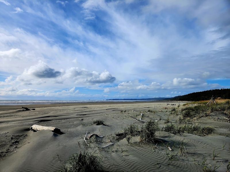 Beyond Clamming: Other Beach Pleasures