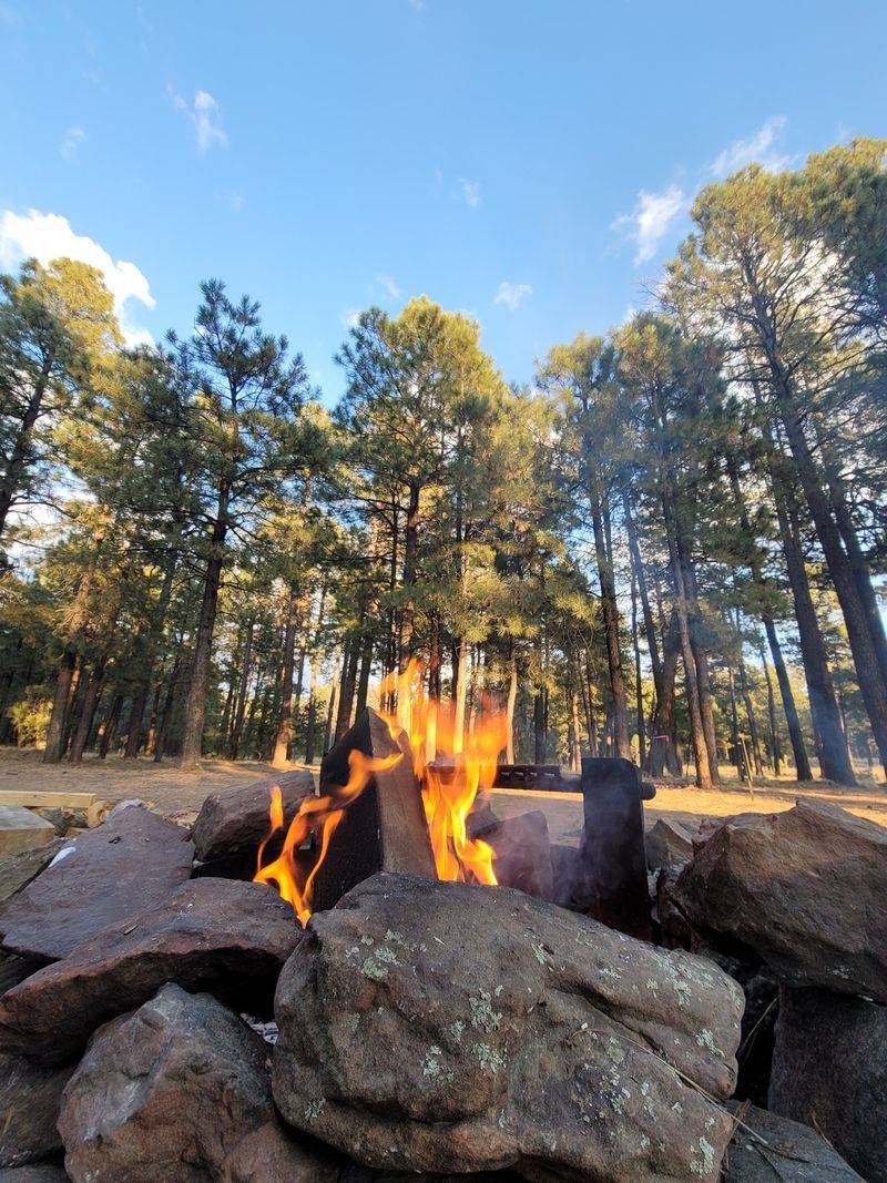 Beyond Elk: Deer, Pronghorn, Wild Horses And Birds