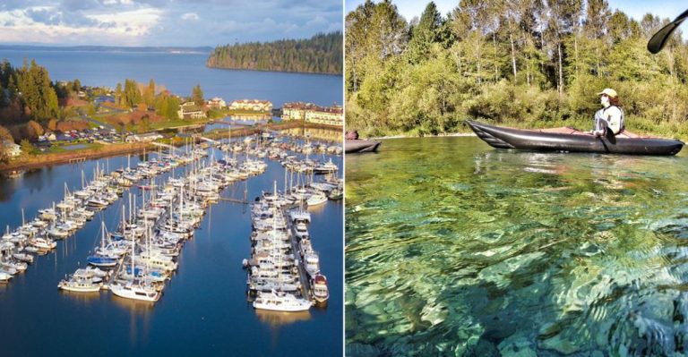 Beyond Seattle, Washington Has A Harbor So Quiet You’ll Hear The Tide Breathe