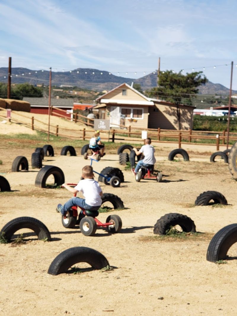Making Memories In The Desert