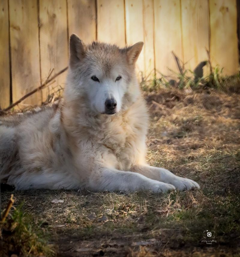 Keeping Expectations Real, Wonder Intact