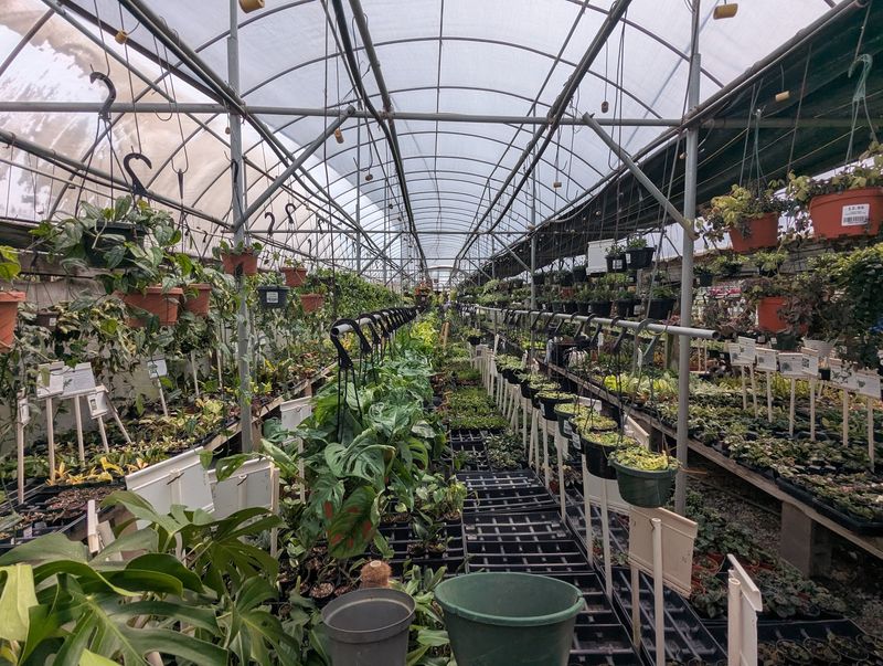Big Bloomers Flower Farm