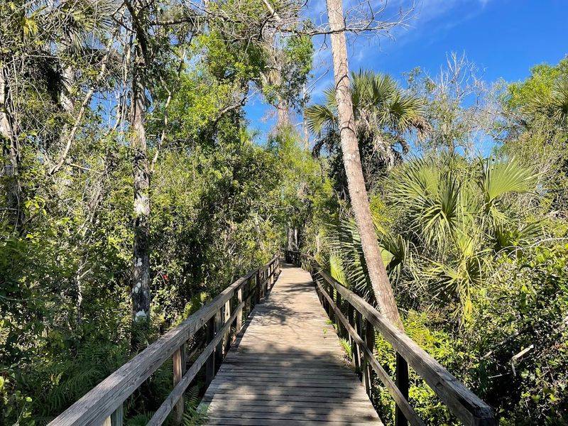 Big Cypress Bend Boardwalk, Naples Big Cypress Bend Boardwalk, Naples